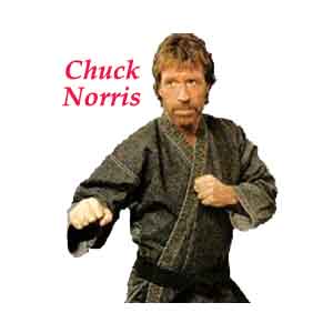 [Image: chuck_norris_random_fact_generator_6_395...e_2578.jpg]