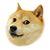 doge