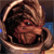 Mass Effect 2 - Grunt